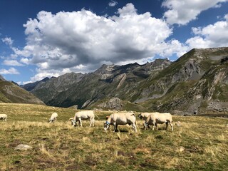 Obraz premium Portalet