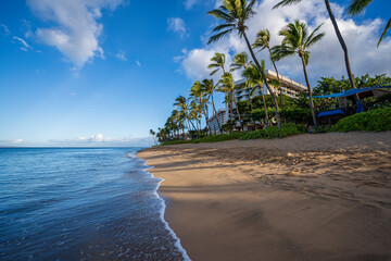 Early morning sunshine paints the lush palm trees and dense foliage on Ka'anapali Beach in Lahaina, Maui, Hawaii. Meanwhile, the calm azure surf tickles the shoreline and slowly erases the footprints 