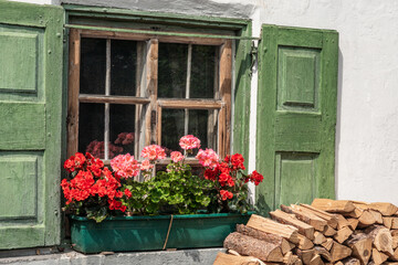 Fototapeta na wymiar flower pot with geranium flower on a window sill