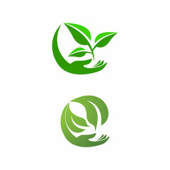 Leaf icon Vector Illustration design Logo template