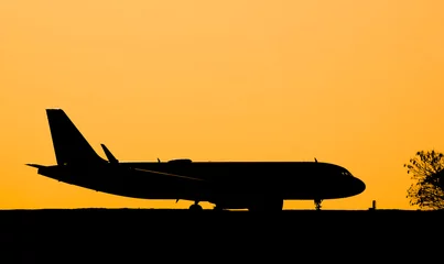 Poster profile silhouette of a passenger airplane © felipecamps
