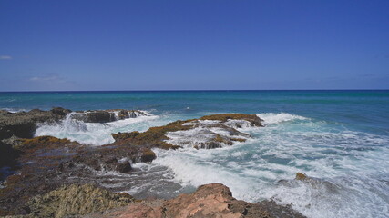 View of the volcanic cliffs on the tropical beach of Oahu Hawaii. Waves crash against the sharp edges of the stones. Cinematic 4K slow motion wildlife. Untouched nature on a sunny summer day. DCI.