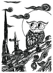 Here is the story of a lone owl 