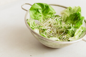 Bean sprout salad