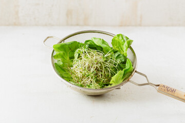 Bean sprout salad