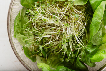 Bean sprout salad