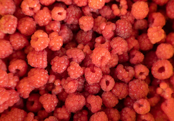 red ripe raspberries