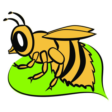 Yellow bee sitting on a leaf. Vector image for logo of honey. Honey pollinating insect on a white background.