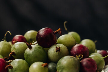 Green and red gooseberry berries on a black background. Gooseberries on a black background