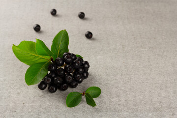 Fresh chokeberry on grey background with copy space