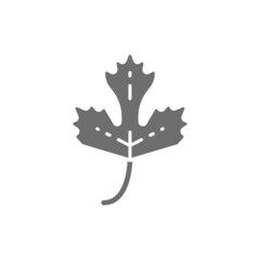 Parsley, herb, spice grey icon. Isolated on white background