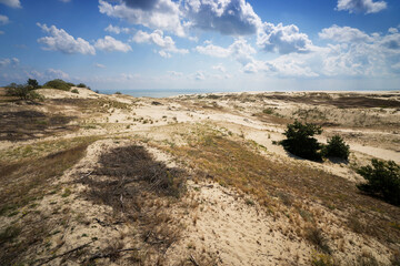 Fototapeta na wymiar View from Dune Efa, Curonian spit, Russia