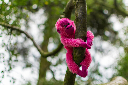 Pink Plush Monkey Toy On A Tree