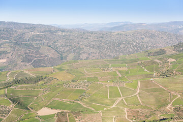 Douro Valley, Portugal. Top view of river, and the vineyards are on a hills. Summer day in terraced vineyards. Concept for travel in Portugal and most beautiful places in Portugal. Unesco