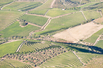 Fototapeta na wymiar Douro Valley, Portugal. Top view of river, and the vineyards are on a hills. Summer day in terraced vineyards. Concept for travel in Portugal and most beautiful places in Portugal. Unesco