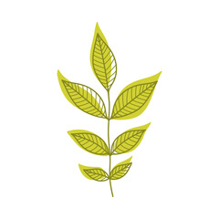 Green Autumn Leaf with Veins as Seasonal Foliage on Stem Vector Illustration