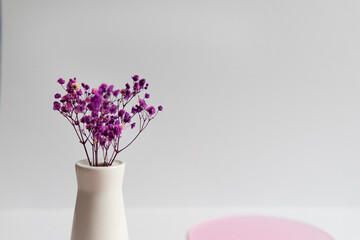dried flowers on a pink circle on a white background with a place to write. Exhibition for cosmetics.