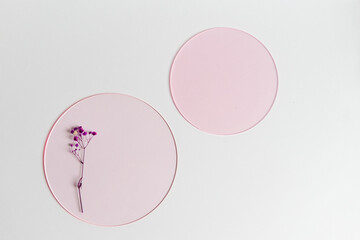 dried flowers on a pink circle on a white background with a place to write. Exhibition for cosmetics.