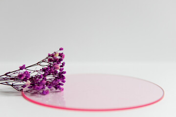 dried flowers on a pink circle on a white background with a place to write. Exhibition for cosmetics.
