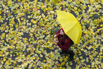 Top view. Woman under large yellow umbrella against background of yellow fallen leaves. Autumn