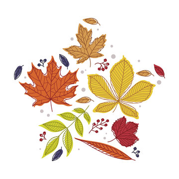 Star Shape with Bright Autumn Foliage of Different Leaf Color Vector Arrangement