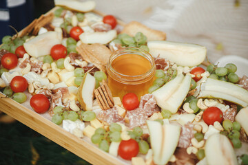 Cheese board with maasdam, bree, cheddar, prosciutto, salami, honey, grapes, pears and cherry tomatoes on wood. Charcuterie board and Antipasto. Italian appetizers for outdoor gathering party
