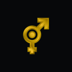 Bigender gold plated metalic icon or logo vector