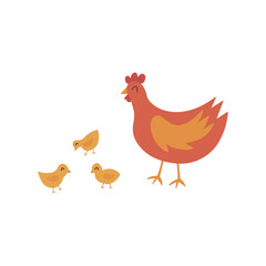 Chicken walks with chickens. Little chicks. Colorful vector isolated hand drawn illustration. Domestic bird. Poultry breeding concept, rural life, farming