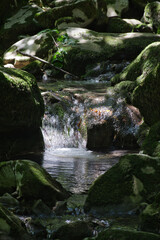 waterfall in the forest