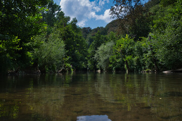 lake in the forest