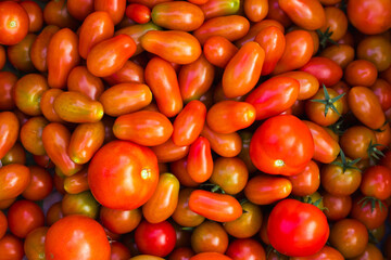 Lots of red juicy tomatoes. Background from vegetables.