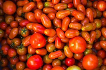 Lots of red juicy tomatoes. Background from vegetables.