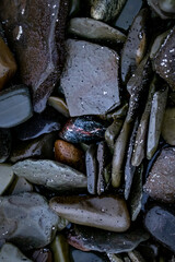 stone background