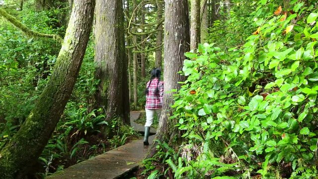 Pacific Rim National Park Reserve Vancouver Island