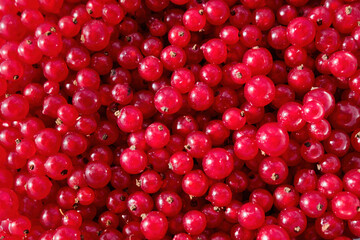 Background of red currant. Close-up, top view. Fruit background. High quality photo