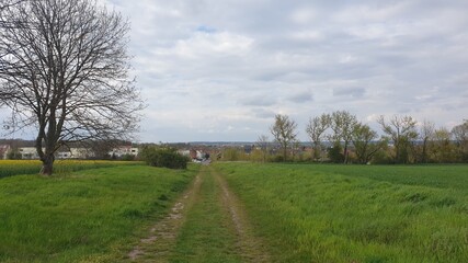 Landschaft