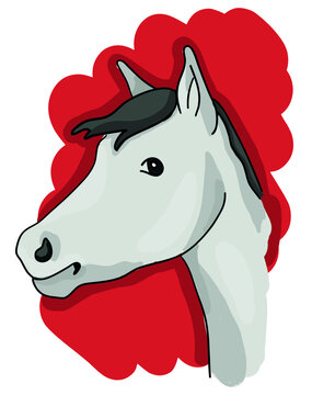 Vector simple cute colorful horse character