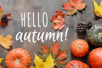 Autumn mood composition with celebration text Hello Autumn. Fallen leaves and pumpkins on wooden table background. Happy Thanksgiving, autumn concept. Flat lay, top view, copy space