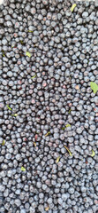 Blueberry background. Blueberries, place for your text. Vegan and vegetarian concepts.