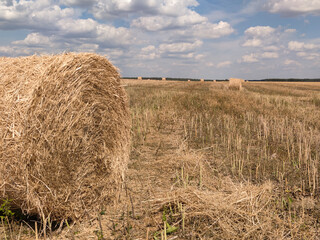 Hay in the field, harvesting, summer. Haystack in the field, sunny day, sky with clouds.