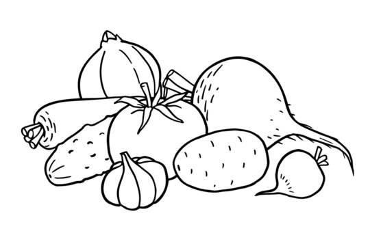 Coloring book with vegetables images. Vector illustration.