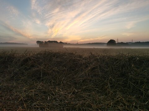 Sonnenaufgang, Nebel, in den fr&uuml;hen Morgenstunden, Strohballe