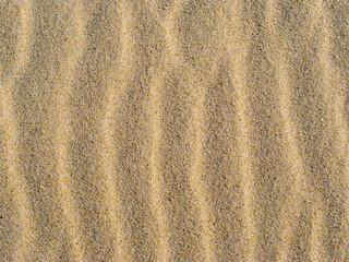 Fototapeta na wymiar Sand waves background, close-up