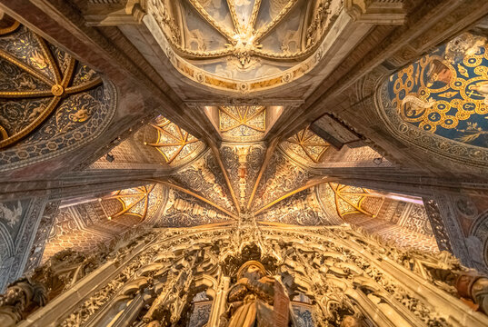 Vue de la cath&eacute;drale d'Albi, Tarn, France.