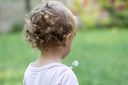 Beautiful baby girl with blonde curly hair playing with dandelion in backyard