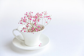 Fototapeta na wymiar White cup with beautiful pink gypsophila flowers on a light background, minimalism, copy space. Gift card, the mood of a spring or summer morning concept