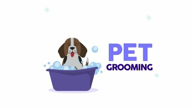 cocker spaniel mascot taking a bath