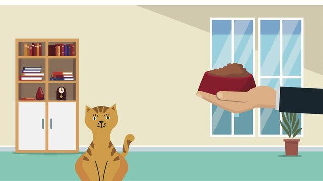 yellow cat mascot with food animation