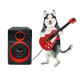 A dog husky plays the electric guitar near a loudspeaker. White background. Isolated.