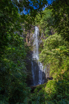 Waterfall along the road to Hana, Maui, Hawaii © Rainer Willeke